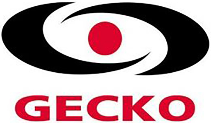 geckologo 01 300x180